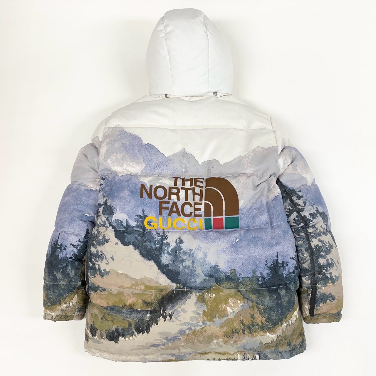 85j20 《美品》 GUCCI グッチ × THE NORTH FACE ノースフェイス トレイルプリント フーデッド ダウンジャケット 670603 XL ホワイト ガーメントカバー ハンガー付t18r