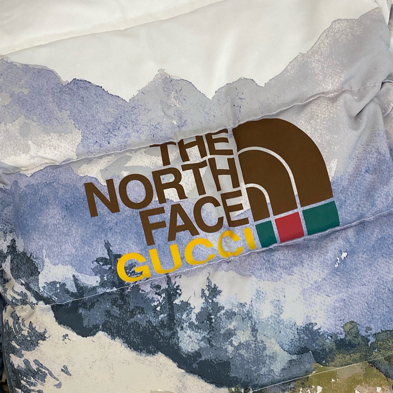 85j20 《美品》 GUCCI グッチ × THE NORTH FACE ノースフェイス トレイルプリント フーデッド ダウンジャケット 670603 XL ホワイト ガーメントカバー ハンガー付t18r