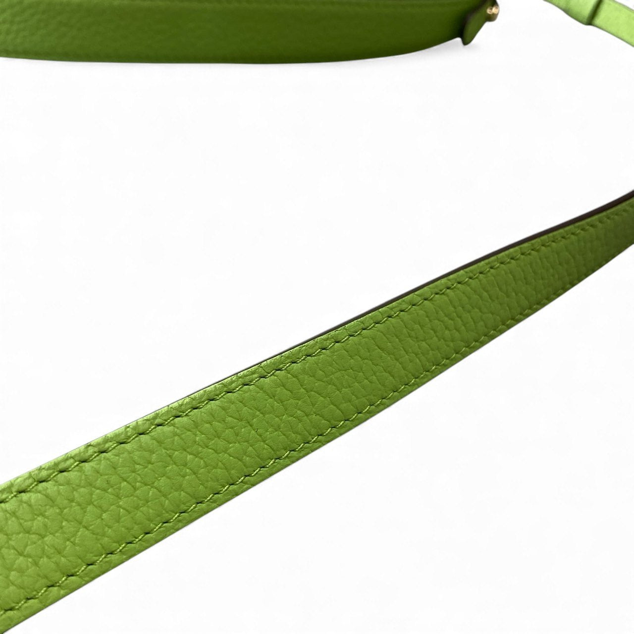 C11【極美品】DELVAUX デルヴォー 2023SS パンスウィング 2way ハンドバッグ ショルダーバッグ ライトグリーン トリヨンソフトレザー レディース 鞄k02i