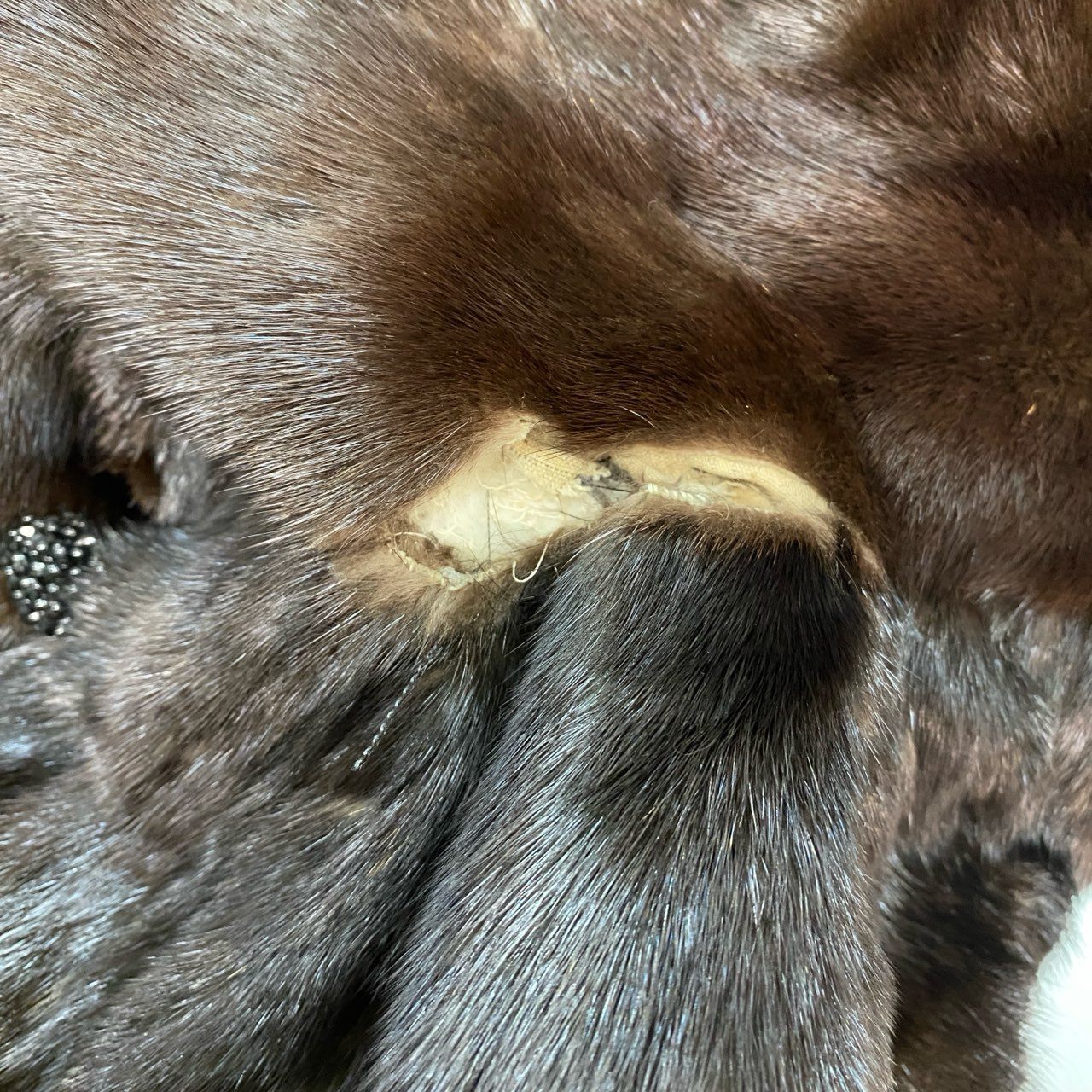 23a26 Estardo Di Valentino ヴァレンティノ マホガニーミンク 丈120cm 超ロングコート サイズF ブラウン 本毛皮 Mink Fur Long Coatt18r