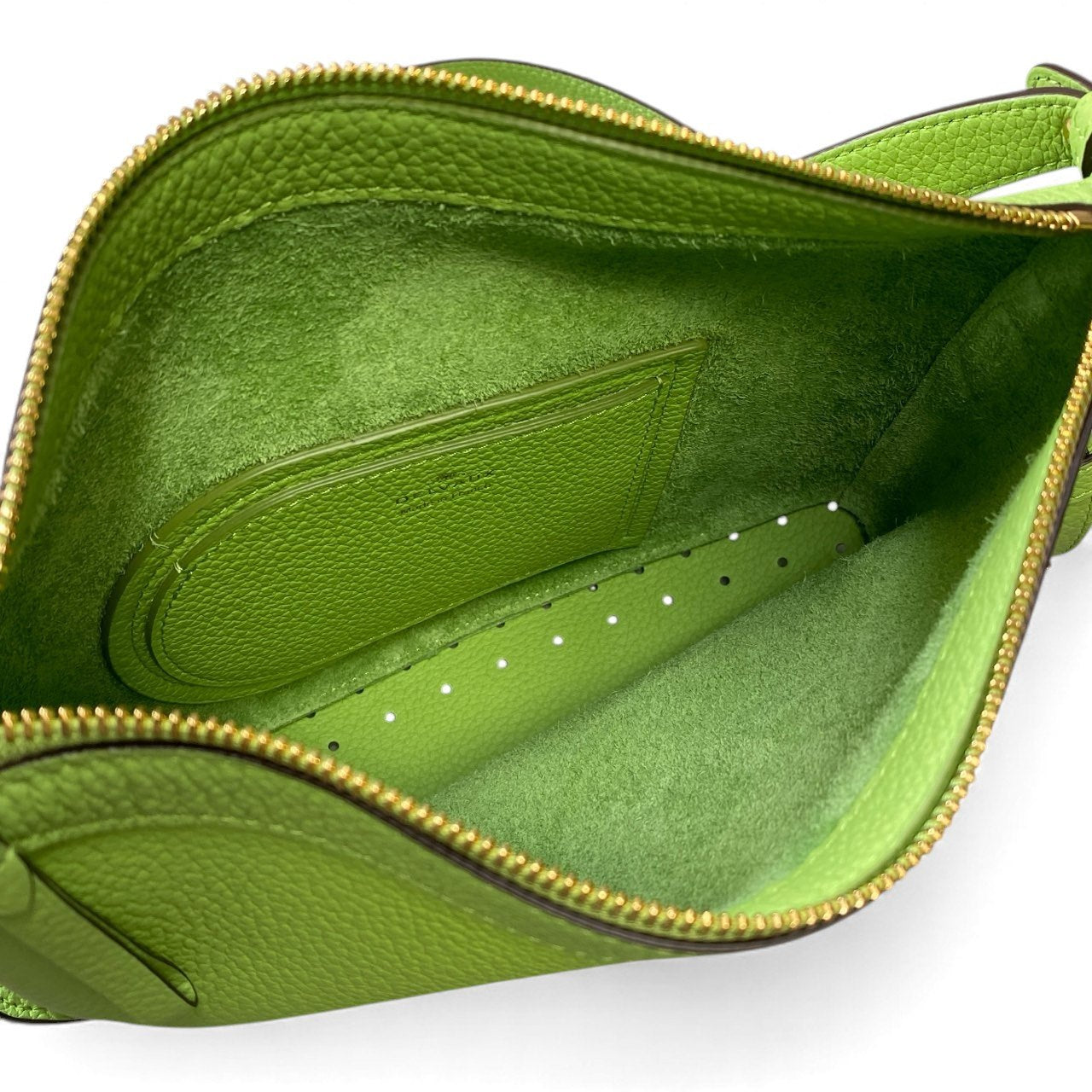 C11【極美品】DELVAUX デルヴォー 2023SS パンスウィング 2way ハンドバッグ ショルダーバッグ ライトグリーン トリヨンソフトレザー レディース 鞄k02i