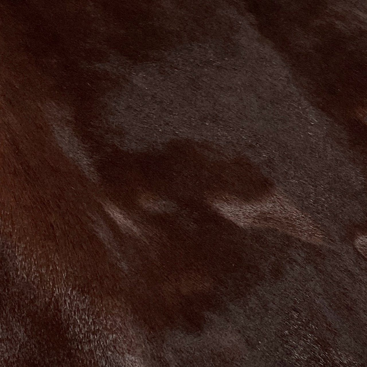 Hc2 MARNI マルニ ヴィンテージ ハラコ カウヘアー レザーコート サイズ42 ブラウン レディース コート アウターk02i