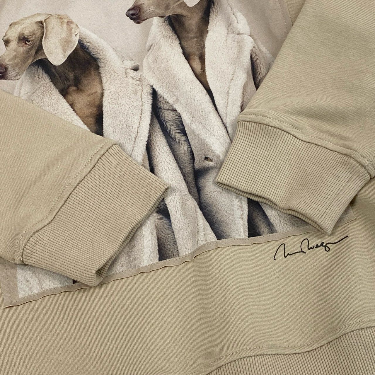 36L10 MaxMara マックスマーラ フーディー パーカー プルオーバー スウェット トレーナー ウェグマン ドッグ プリント  Sサイズ ベージュ レディースk02i