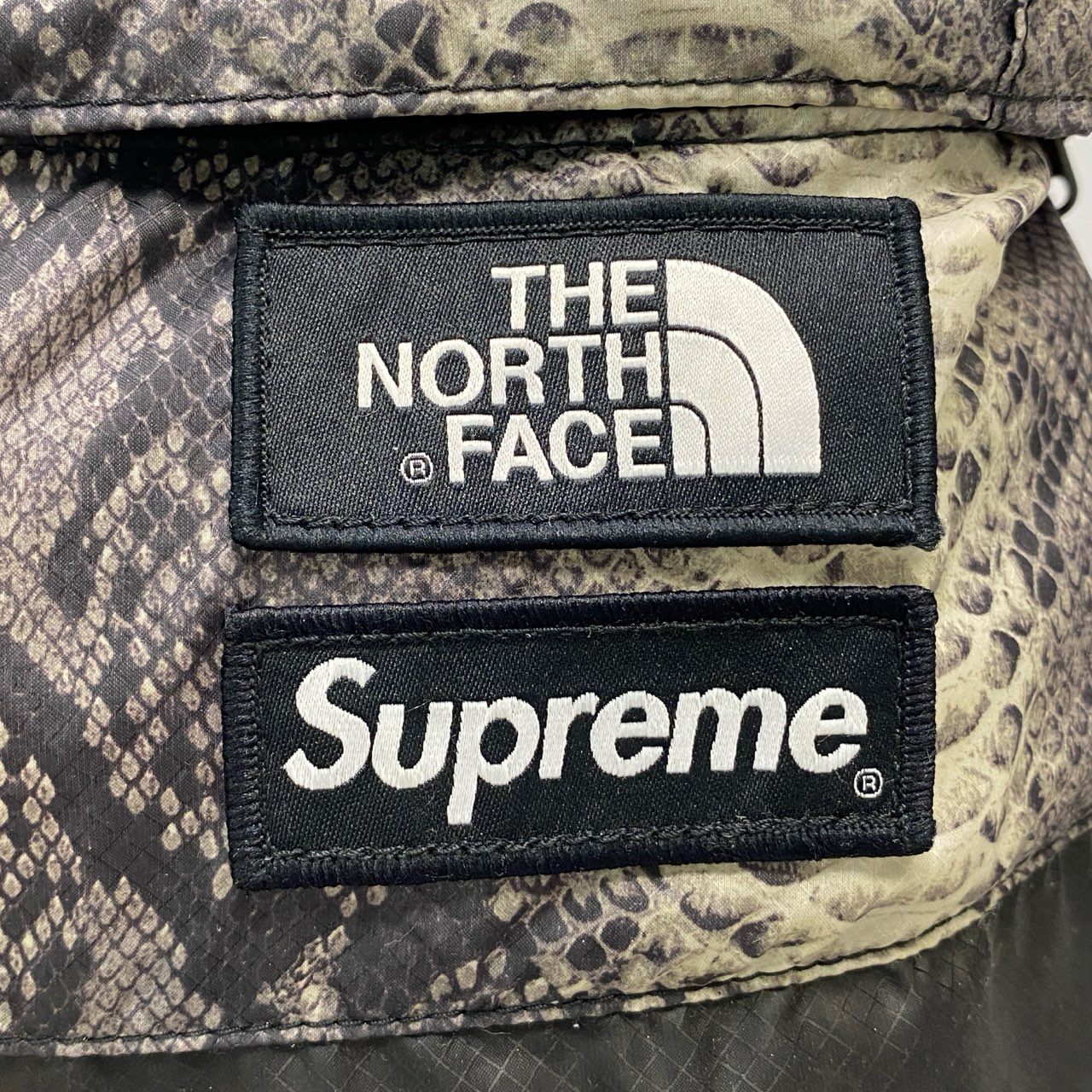 Bi18 Supreme シュプリーム × THE NORTH FACE ノースフェイス スネークスキン リュックサック グレー ブラック パイソンプリント ヘビ柄 ライトウェイトデイパック カバンt18r