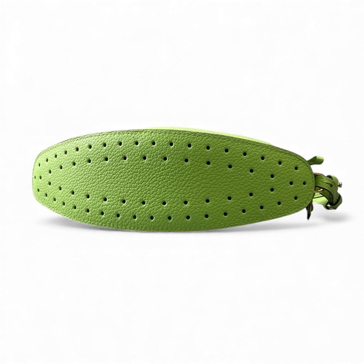 C11【極美品】DELVAUX デルヴォー 2023SS パンスウィング 2way ハンドバッグ ショルダーバッグ ライトグリーン トリヨンソフトレザー レディース 鞄k02i