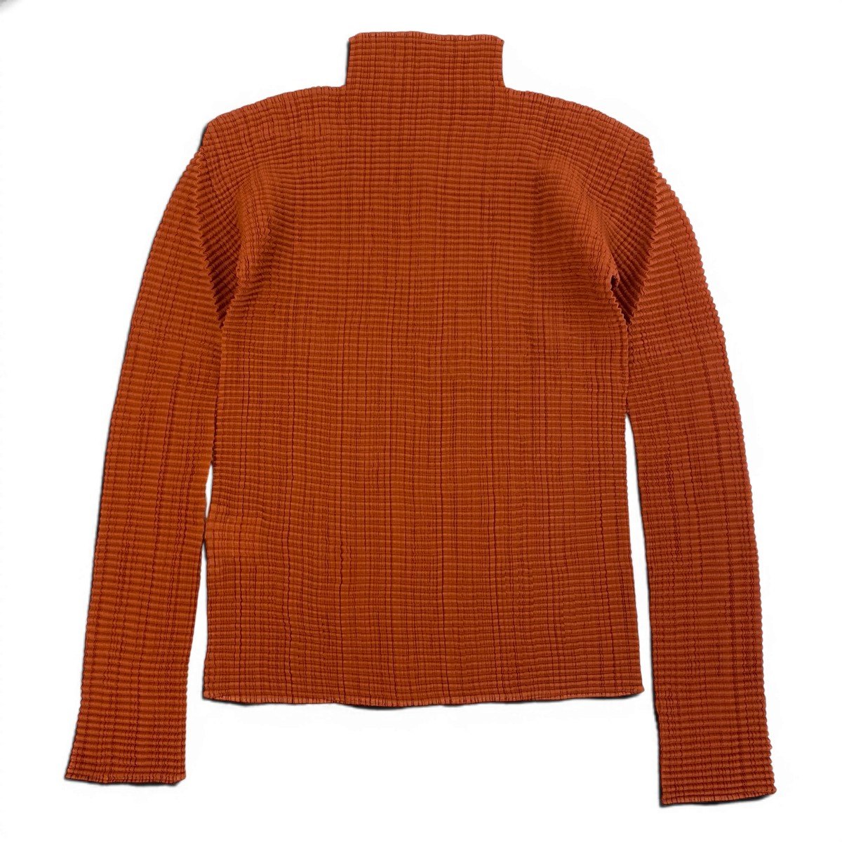 Af6 ISSEY MIYAKE イッセイミヤケ ハイネック プリーツカットソー 長袖