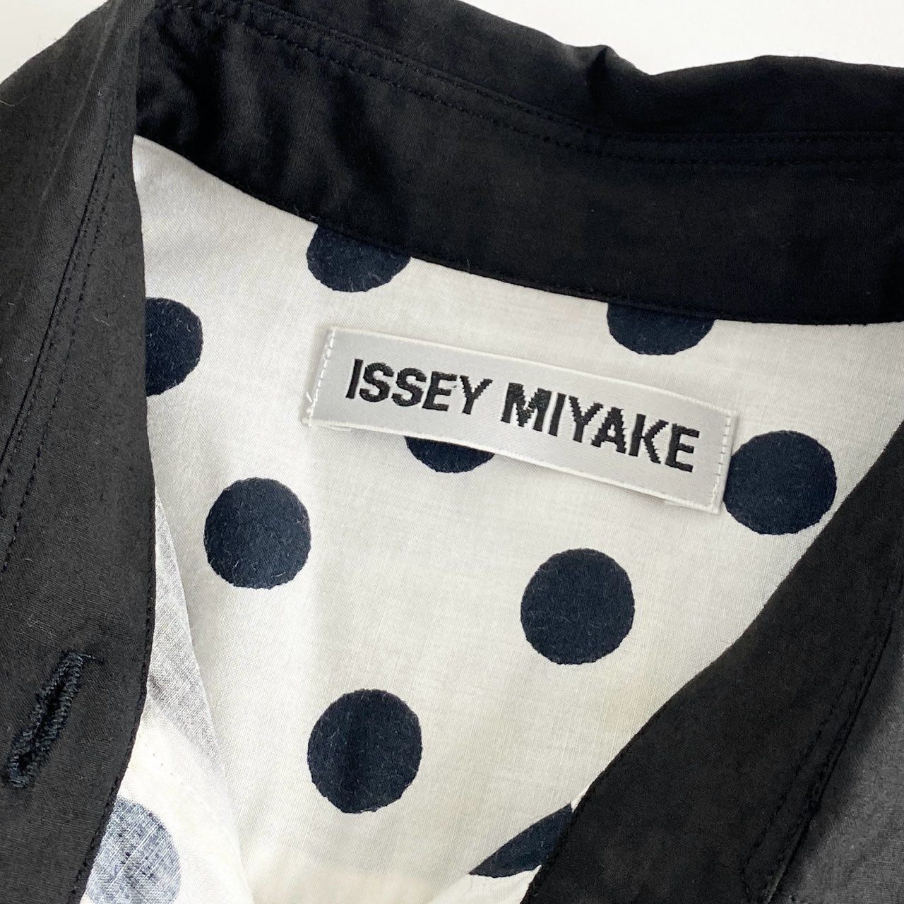 79j2 ISSEY MIYAKE イッセイミヤケ 長袖シャツ ブラウス ドットシャツ トップス IM51FJ008 3 マルチカラー レーヨン100％ レディース