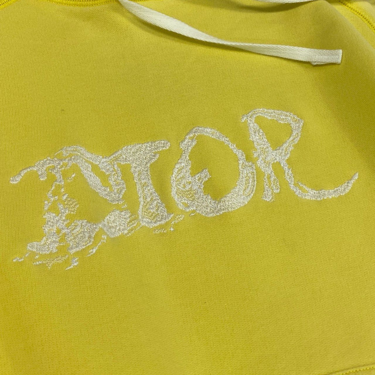 37L23 DIOR HOMME ディオール オム 21AW PETER DOIG プルオーバー フーディー パーカー 143J683B0531 Mサイズ イエロー メンズ 男性用o07t