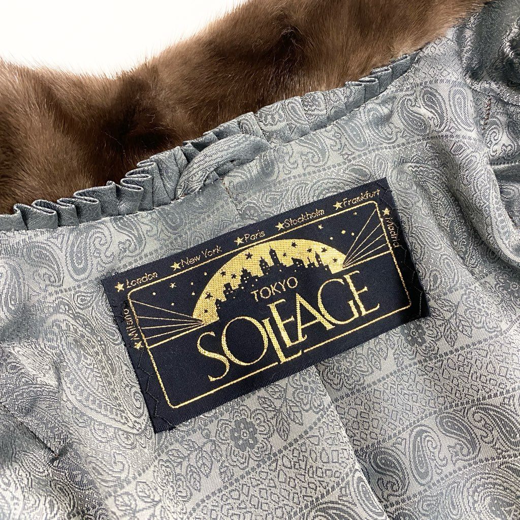 34l24 THE AMERICAN FUR AWARDS アメリカンファーアワード 5つ星 ブルーアイリスミンク ロングコート サイズF 茶系 最高級本毛皮 MINK FURt18r