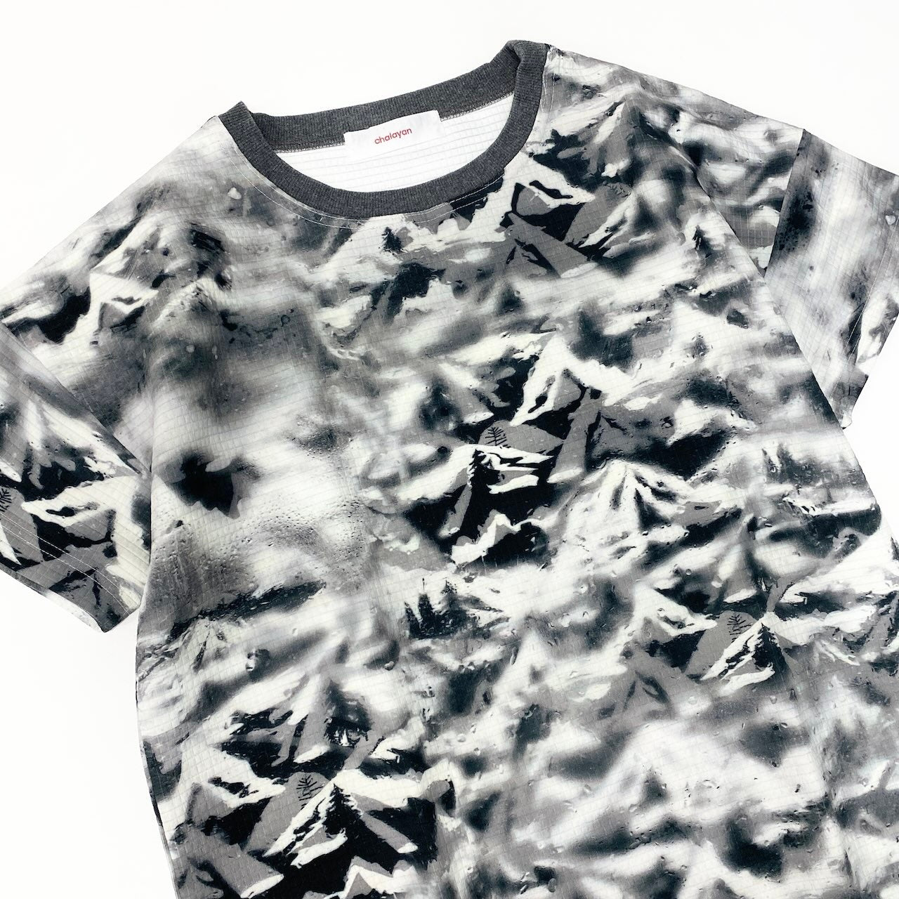 26e8 【美品】 chalayan フセイチャラヤン ショートスリーブ プリントワンピース 雪山 ストレッチ サイズS グレー系 レディース 女性用u02t