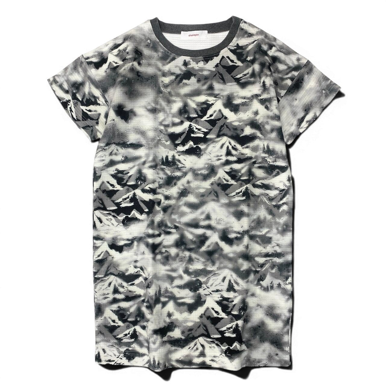 26e8 【美品】 chalayan フセイチャラヤン ショートスリーブ プリントワンピース 雪山 ストレッチ サイズS グレー系 レディース 女性用u02t