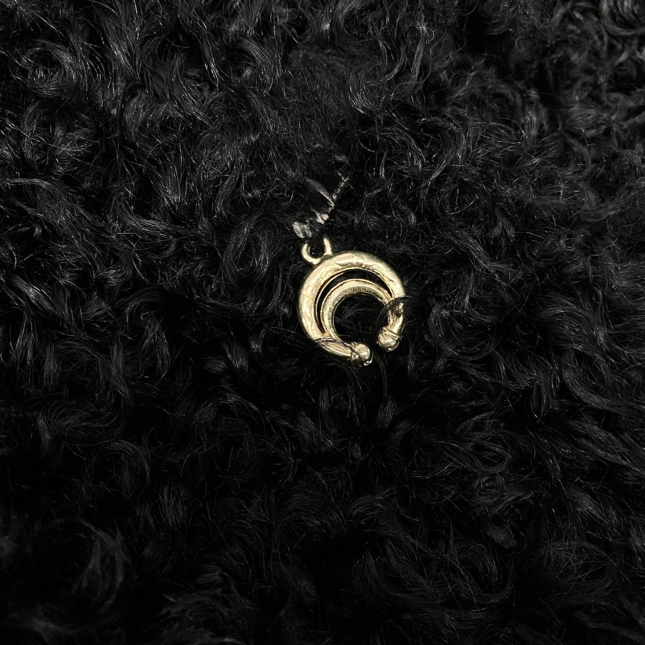 18c21 EMBA エンバ カルガンラム ロングファーコート サイズF ブラック 本毛皮 Real Fur Coat プードルファーt18r